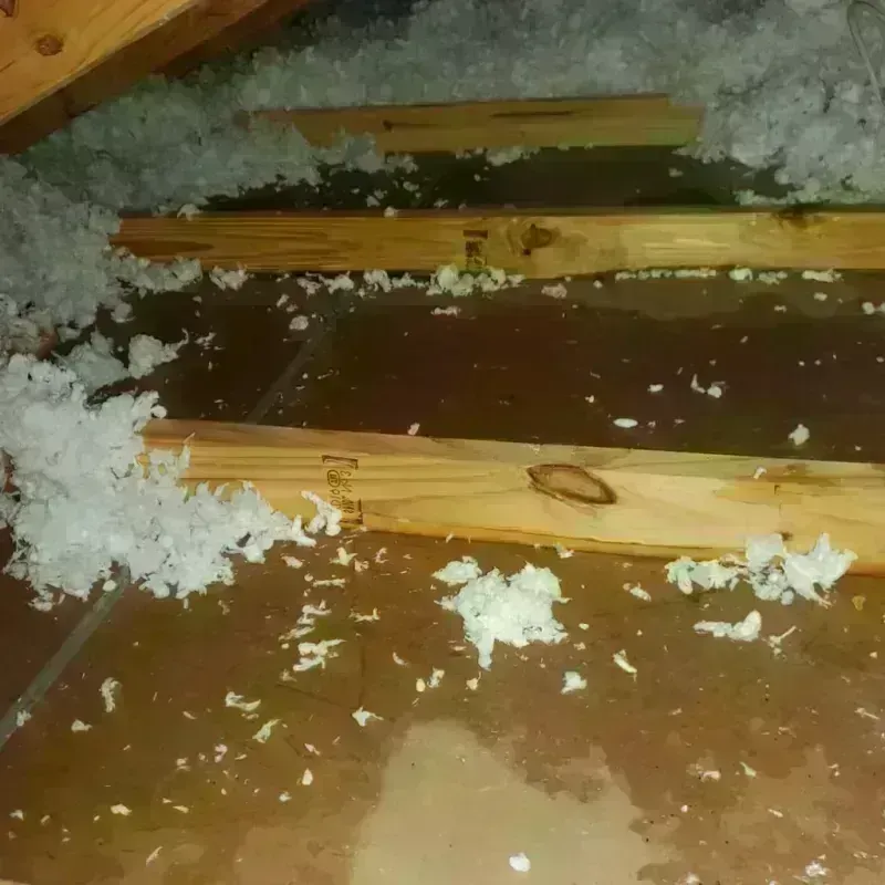 Attic Water Damage in Mosinee, WI