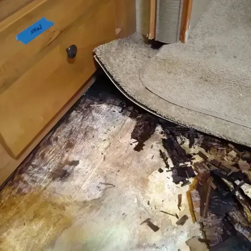 Best Wood Floor Water Damage Service in Mosinee, WI